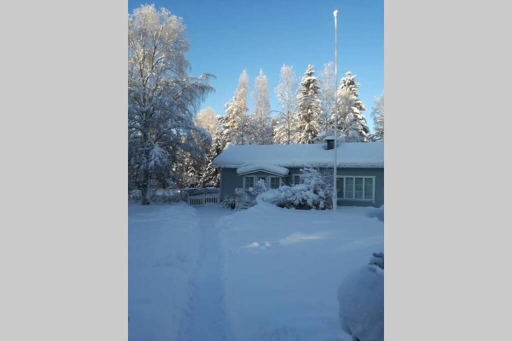 Arctic Circle Tranquillity Semesterbostad